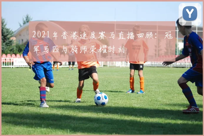 2021年香港速度赛马直播回顾：冠军马匹与骑师荣耀时刻