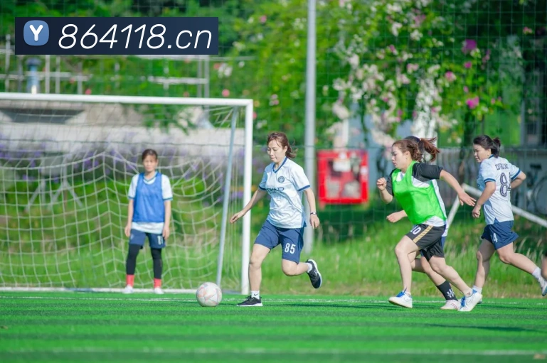 爱游戏ayx官网平台登录APP 高清赛事图